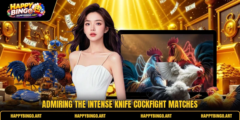Admiring the intense knife cockfight matches Admiring the intense knife cockfight matches