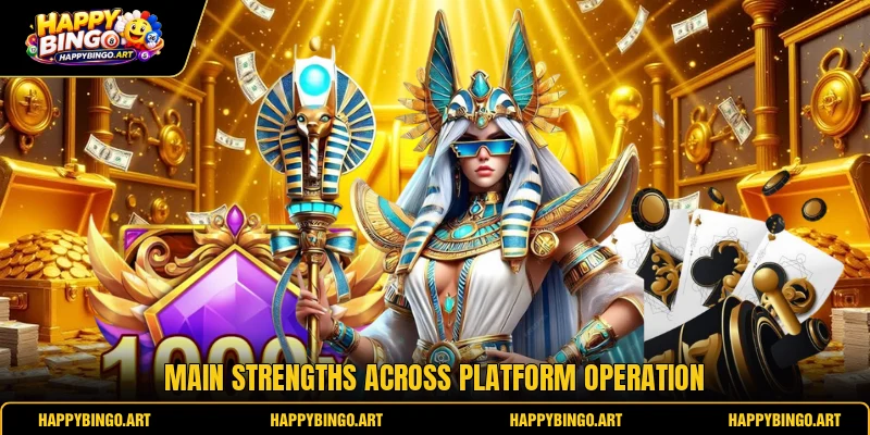 Main strengths across platform operation