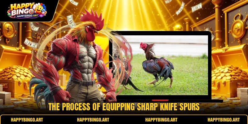 The process of equipping sharp knife spurs The process of equipping sharp knife spurs